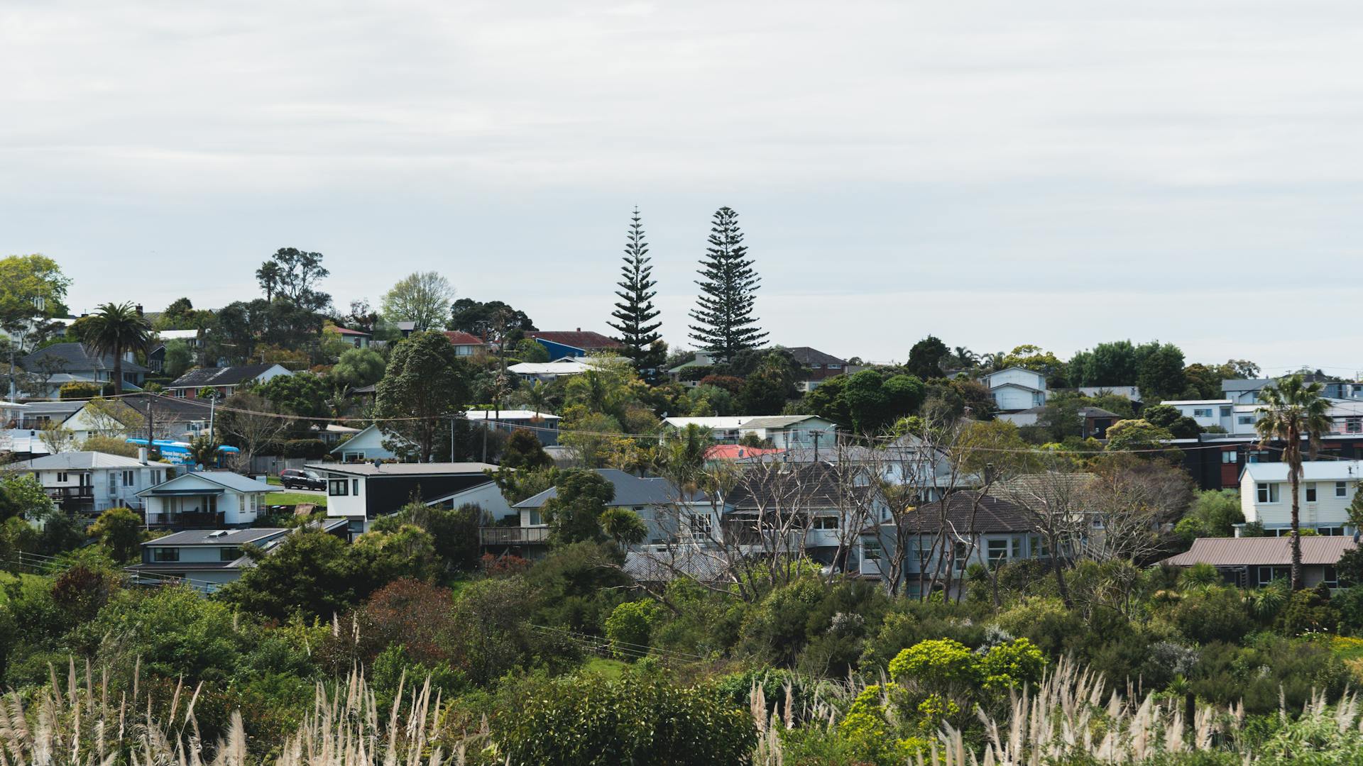 Auckland residential neighbourhood